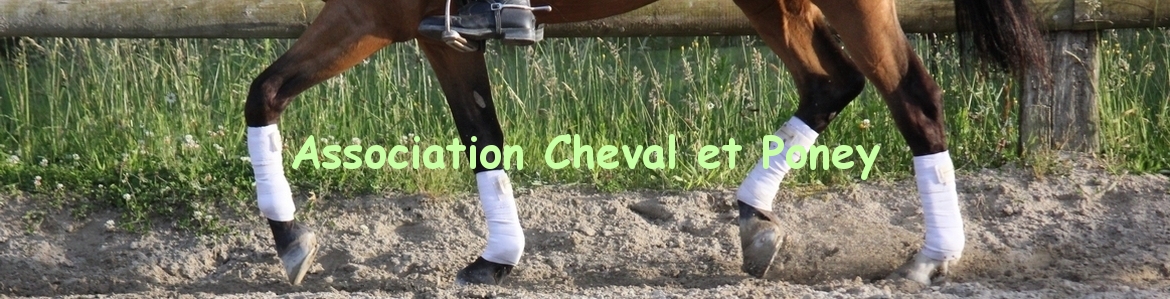 Association Cheval et Poney
